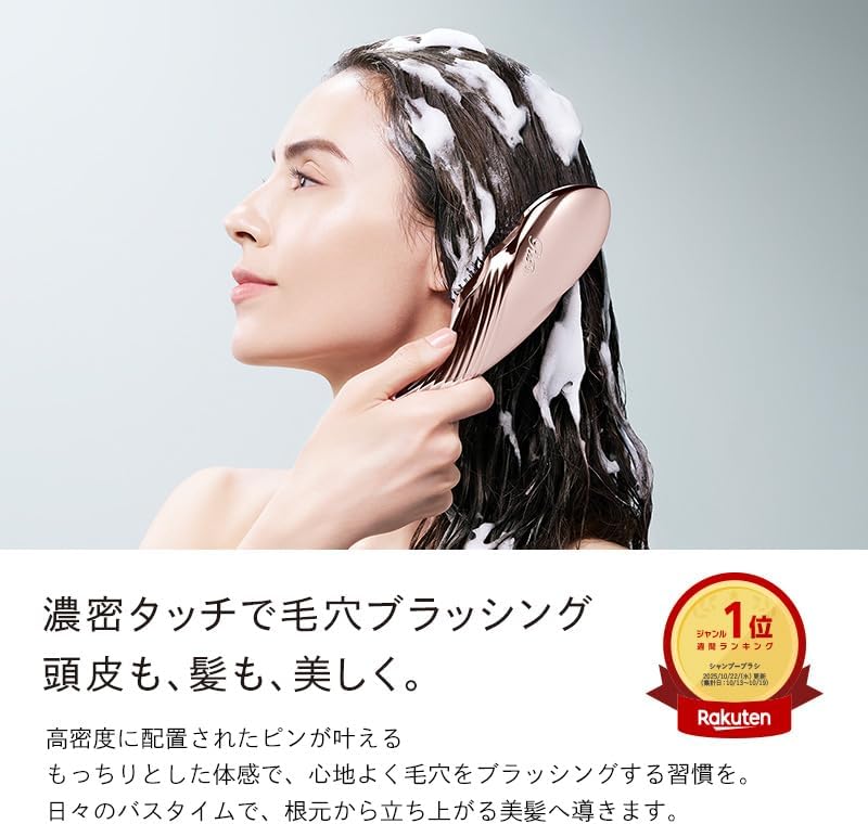 ReFa ION CARE BRUSH PREMIUM