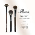Revoir Brush - Premium Face Set (3pc - F245Q, F109O, F310FF)