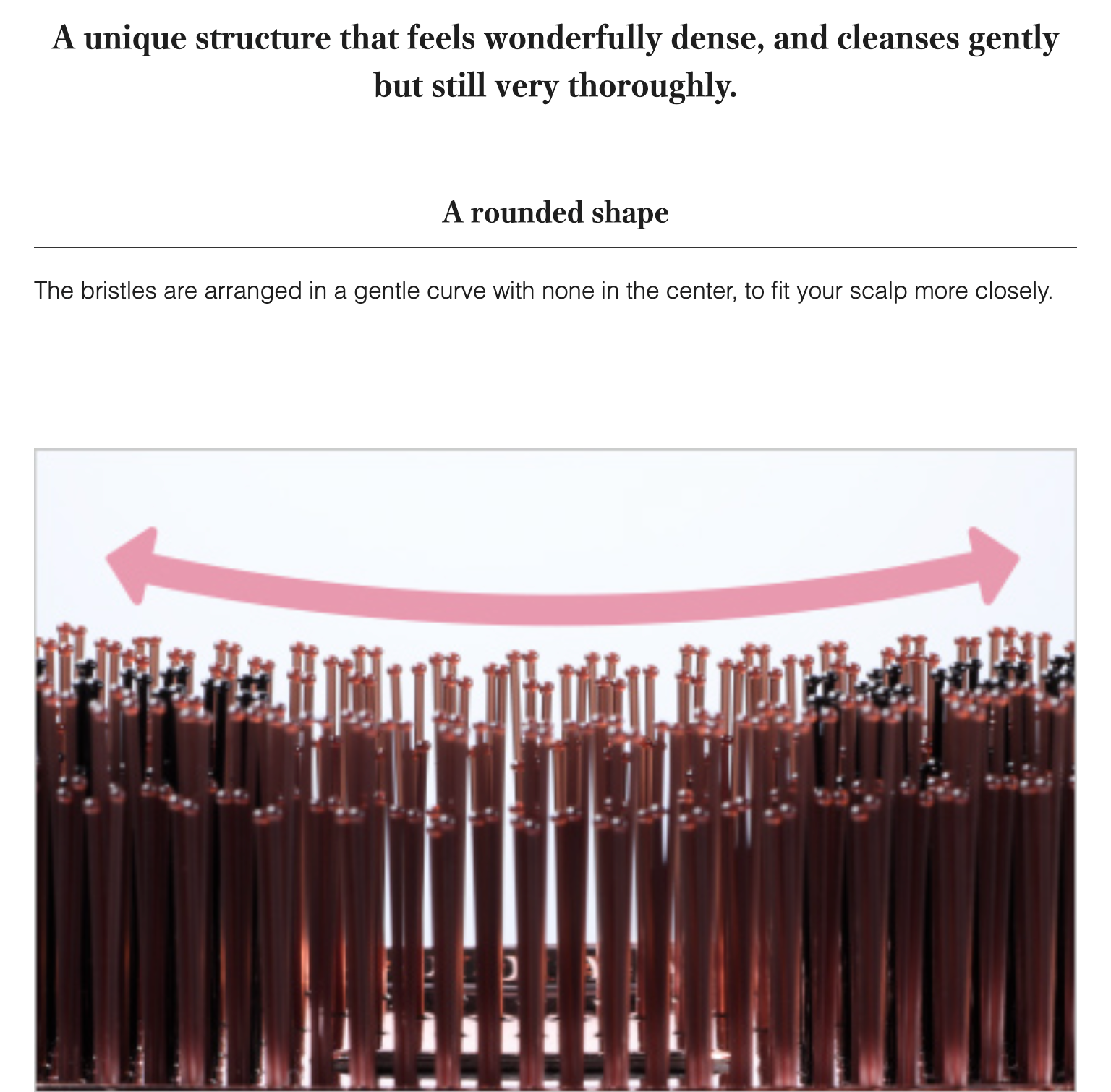 ReFa ION CARE BRUSH PREMIUM