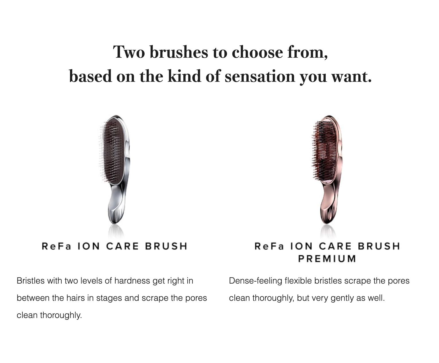 ReFa ION CARE BRUSH PREMIUM