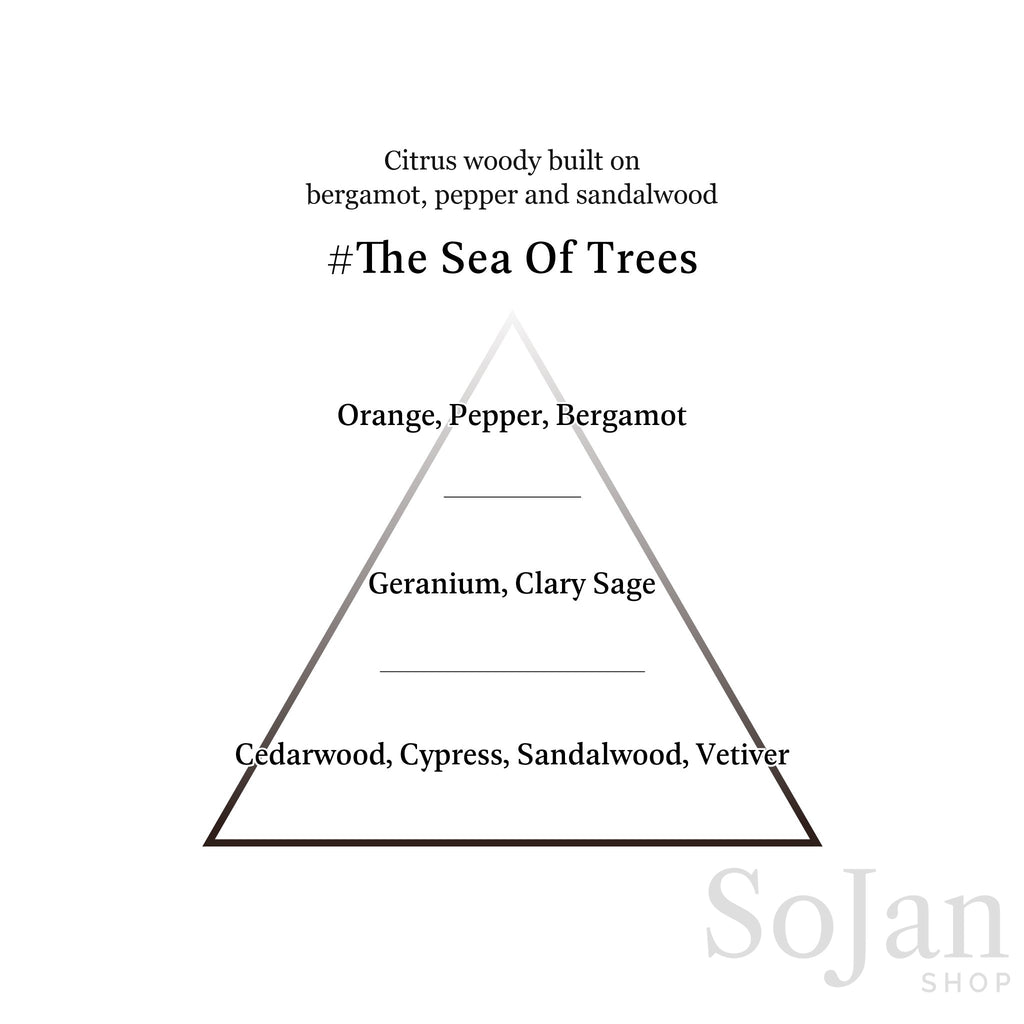 AHRES Sound Skin Perfume The Sea Of Trees bergamot, pepper and sandalwood fragrance pyramid