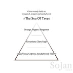 AHRES Sound Skin Perfume The Sea Of Trees bergamot, pepper and sandalwood fragrance pyramid