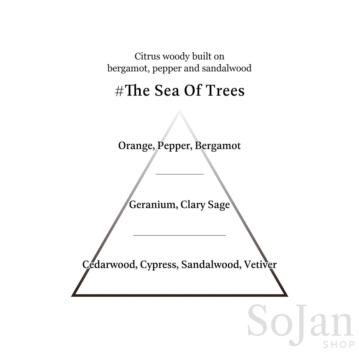AHRES Sound Skin Perfume The Sea Of Trees bergamot, pepper and sandalwood fragrance pyramid