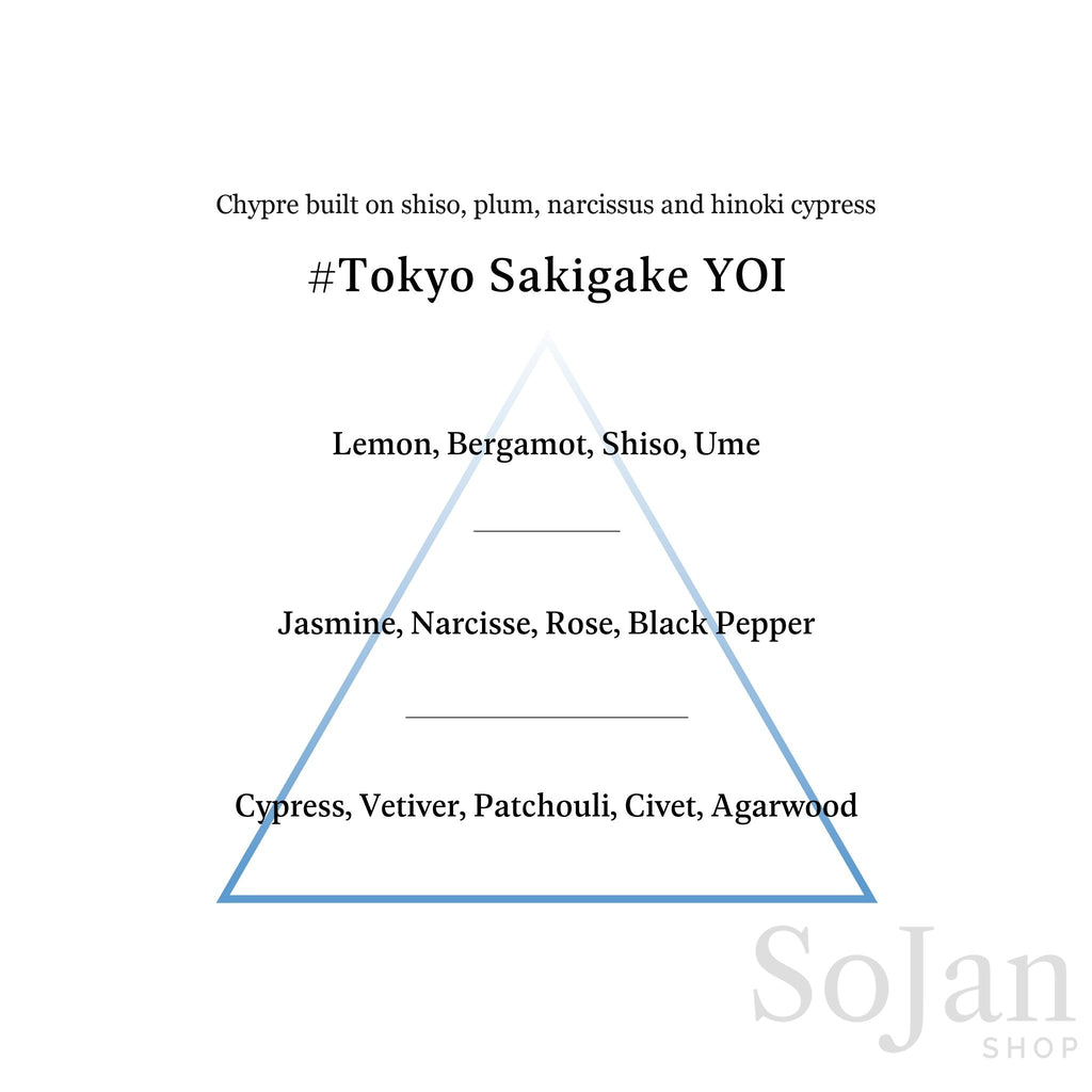 AHRES Sound Skin Perfume Tokyo Sakigake YOI shiso, plum and hinoki cypress fragrance pyramid