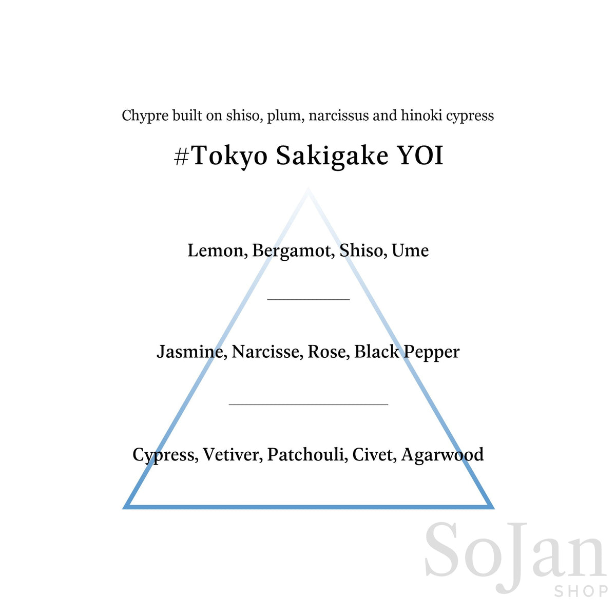 AHRES Sound Skin Perfume Tokyo Sakigake YOI shiso, plum and hinoki cypress fragrance pyramid