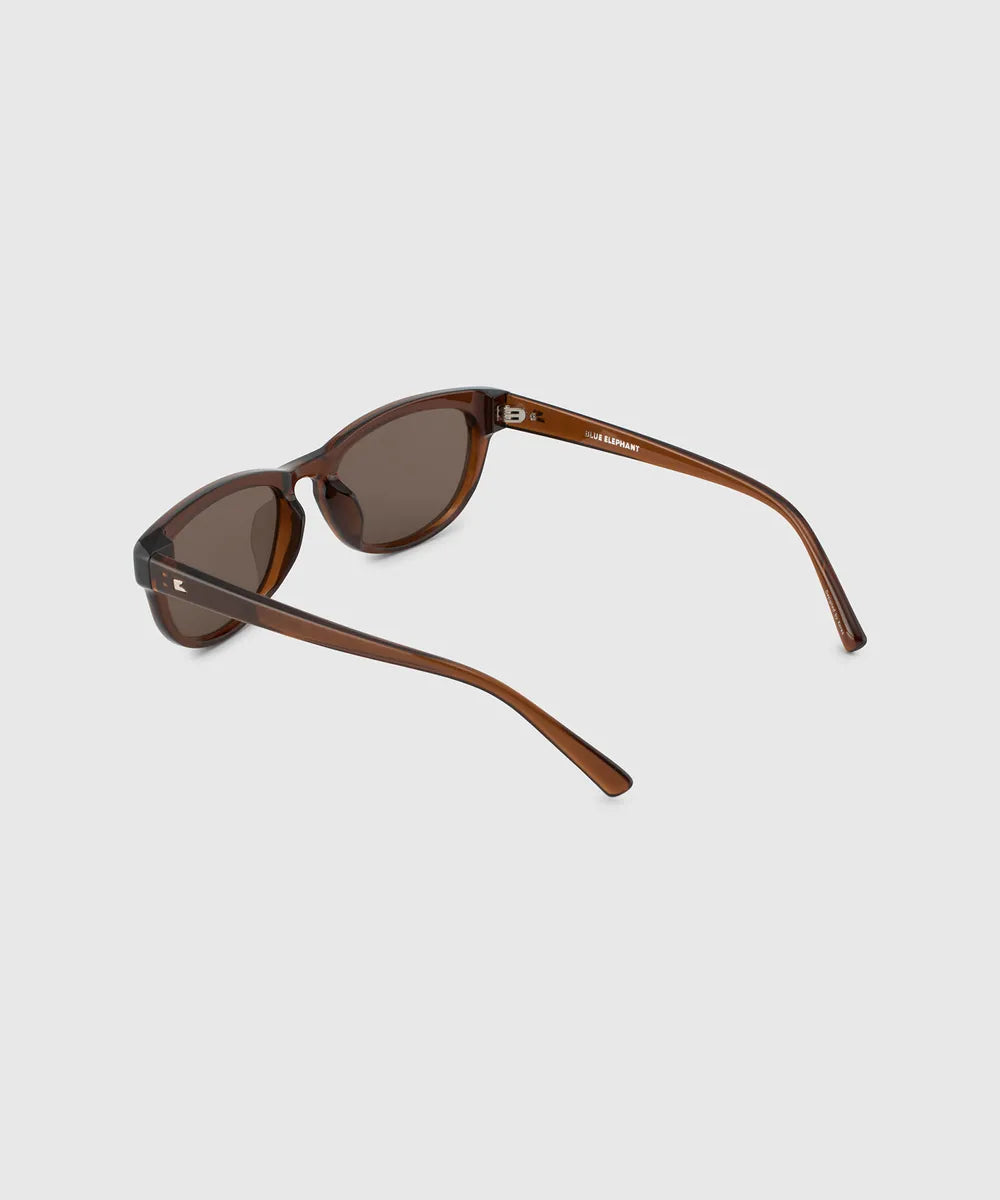 Blue Elephant HOEN Sunglasses (혼) - Brown
