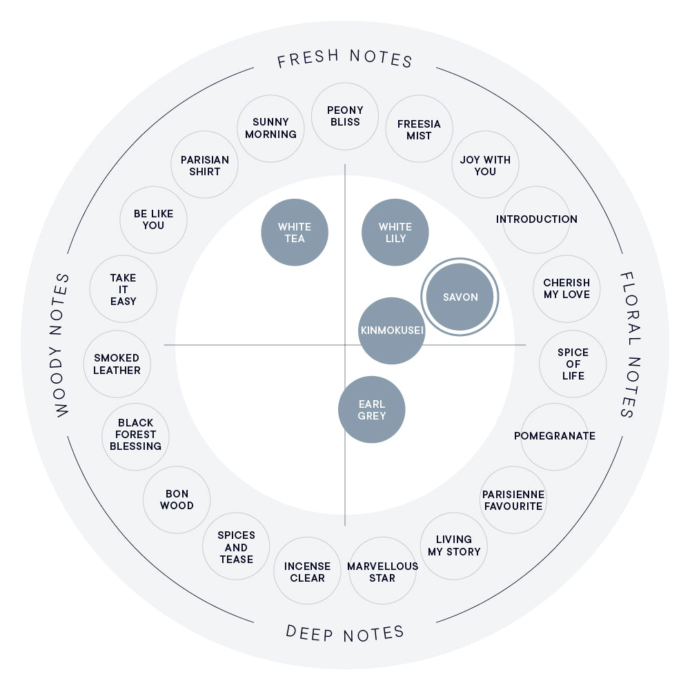 SHIRO Savon Eau de Parfum 22 fragrance notes chart