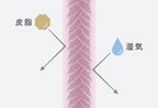 ReFa AIRA POINT KEEP hair strand diagram showing sebum and moisture