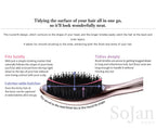 ReFa AILE BRUSH RAY