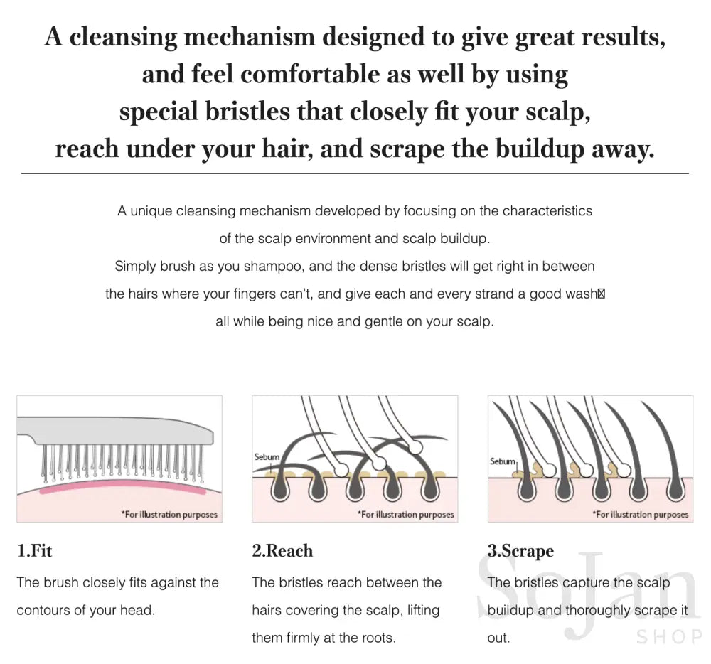 ReFa ION CARE BRUSH PREMIUM