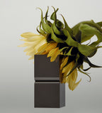 TAMBURINS Perfume Balm Chamo 6.5g with sunflower
