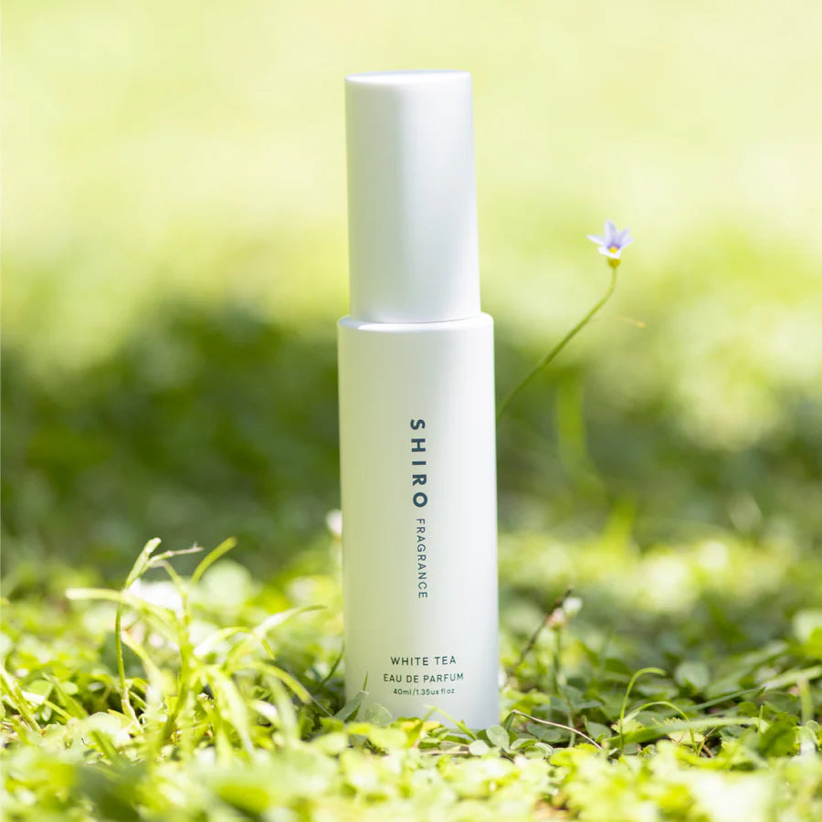 SHIRO - WHITE TEA Eau De Parfum (40ml)